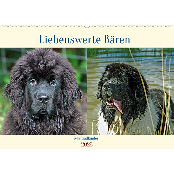Neufundländer Liebenswerte Bären (Wandkalender 2023 DIN A2 quer), Claudia Kleemann