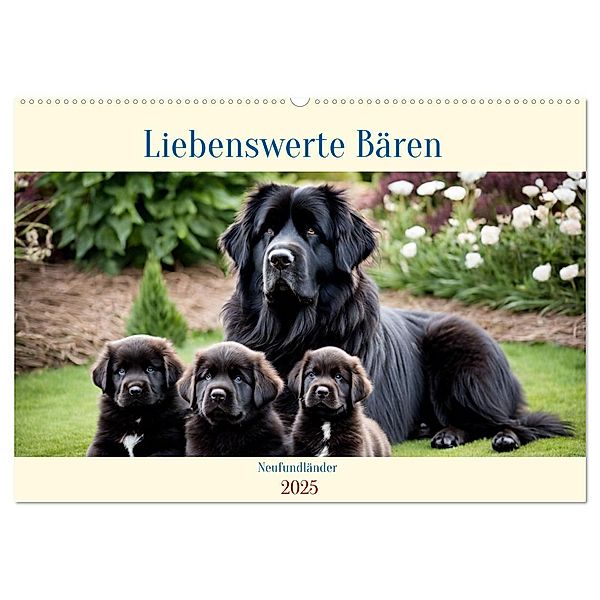 Neufundländer - Liebenswerte Bären (Wandkalender 2025 DIN A2 quer), CALVENDO Monatskalender, Calvendo, Claudia Kleemann