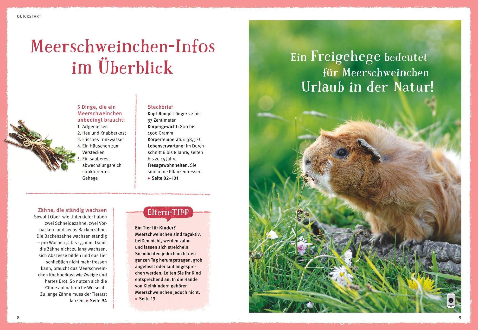 Neugierige Meerschweinchen Buch versandkostenfrei bei Weltbild.at