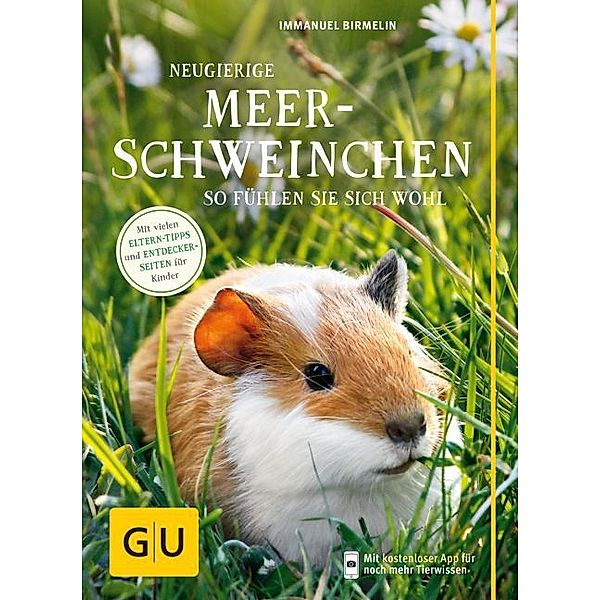 Neugierige Meerschweinchen, Immanuel Birmelin