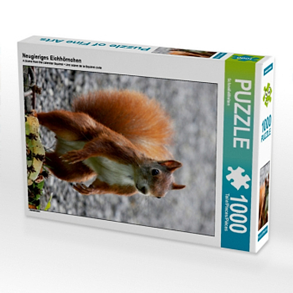 Neugieriges Eichhörnchen (Puzzle), SchnelleWelten