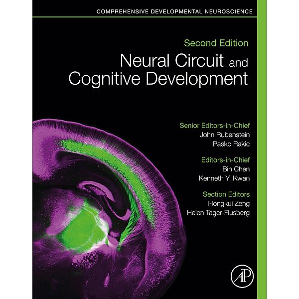 Neural Circuit and Cognitive Development