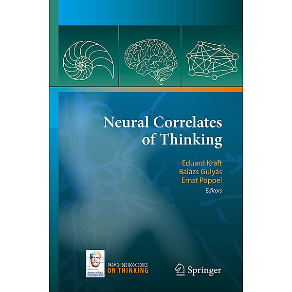 Neural Correlates of Thinking