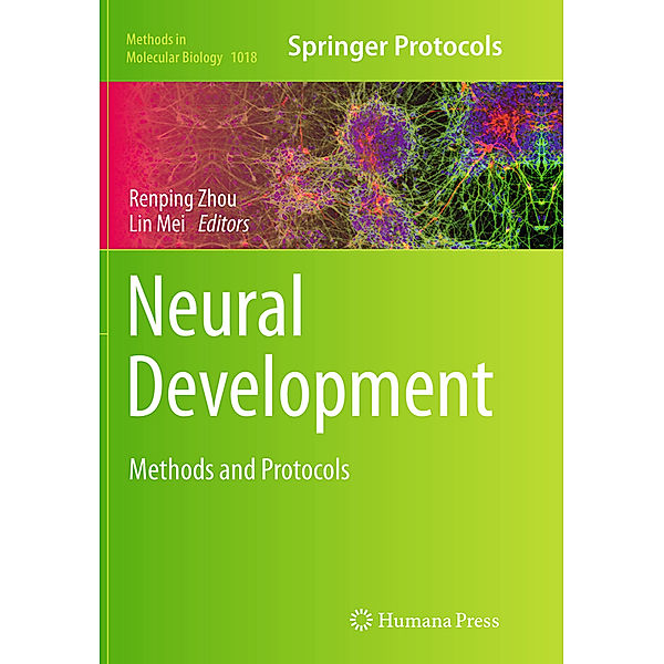 Neural Development