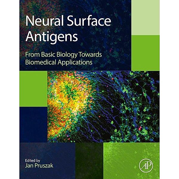 Neural Surface Antigens