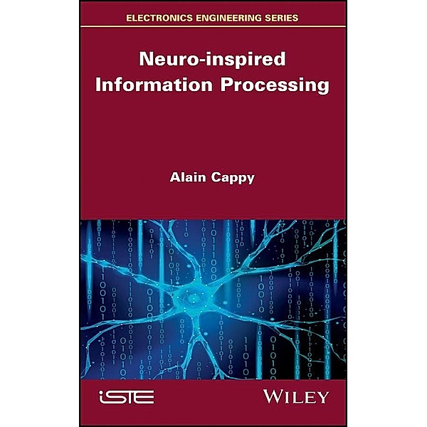 Neuro-inspired Information Processing, Alain Cappy