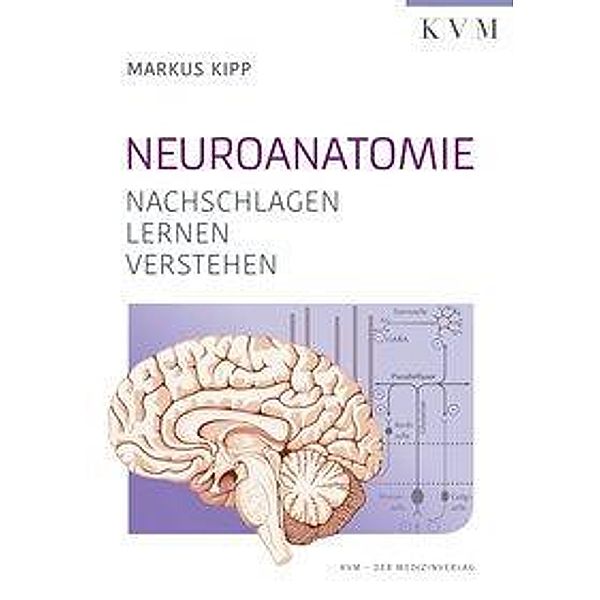 Neuroanatomie, Markus Kipp, Kalinka Radlanski