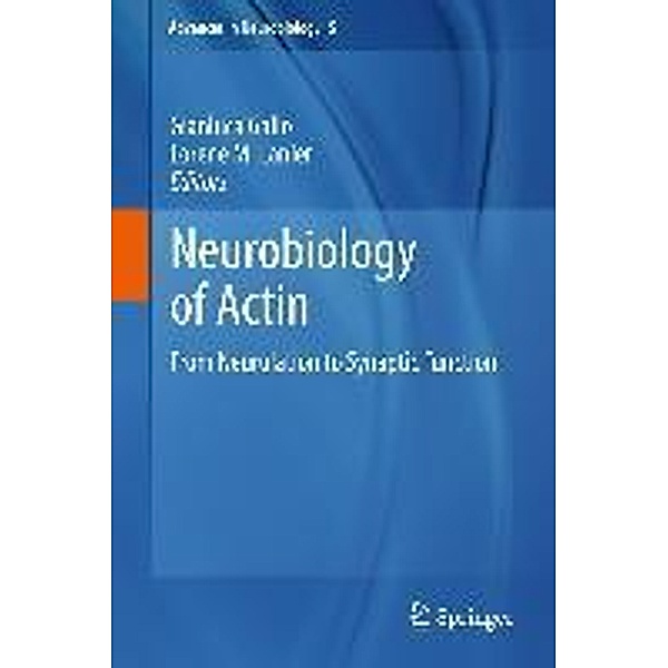 Neurobiology of Actin / Advances in Neurobiology Bd.5, Gianluca Gallo