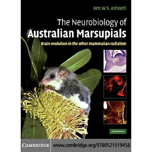 Neurobiology of Australian Marsupials