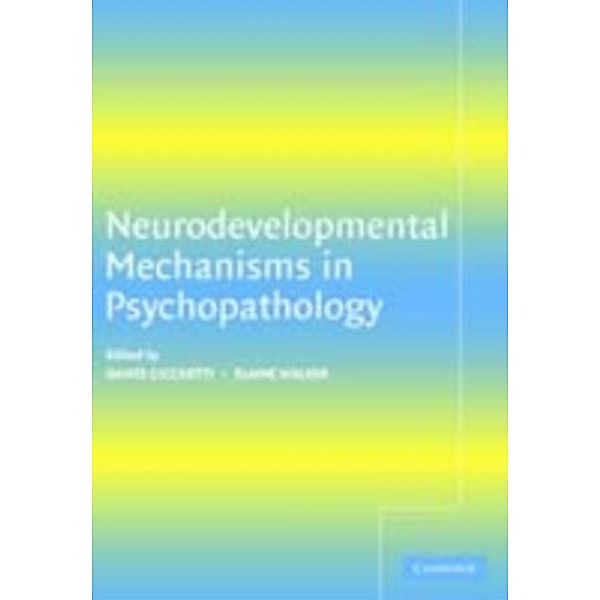 Neurodevelopmental Mechanisms in Psychopathology