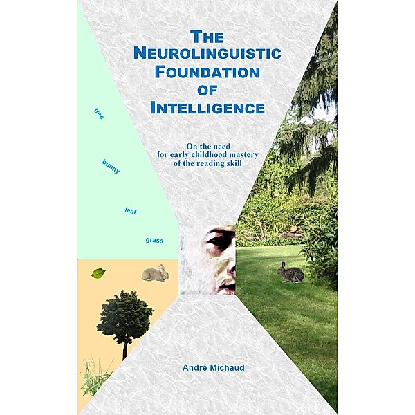 Neurolinguistic Foundation of Intelligence, Andre Michaud