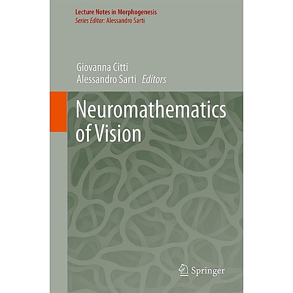 Neuromathematics of Vision / Lecture Notes in Morphogenesis