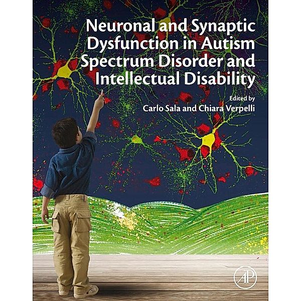 Neuronal and Synaptic Dysfunction in Autism Spectrum Disorder and Intellectual Disability