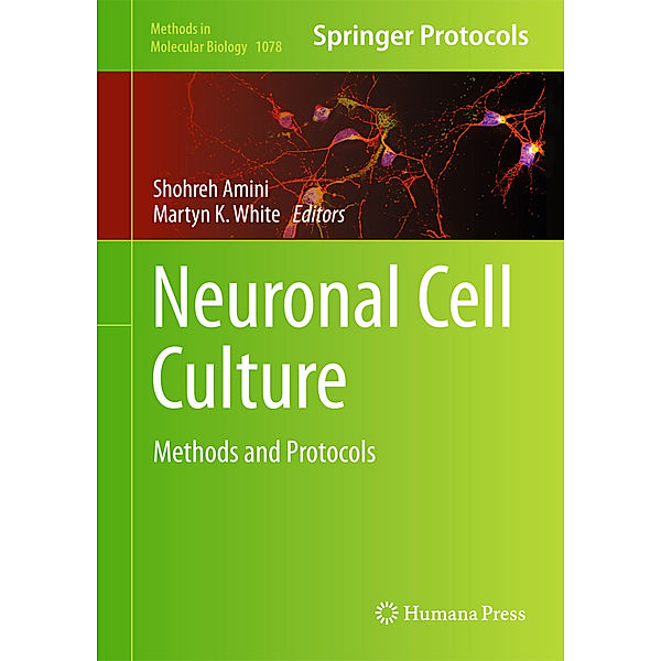 Neuronal Cell Culture