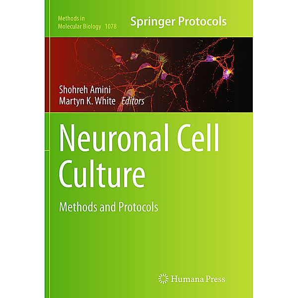 Neuronal Cell Culture