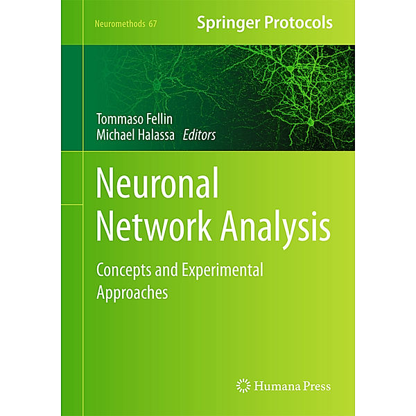 Neuronal Network Analysis