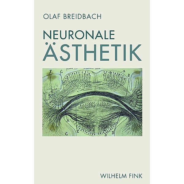 Neuronale Ästhetik, Olaf Breidbach