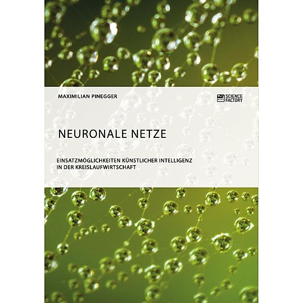 Neuronale Netze. Einsatzmöglichkeiten künstlicher Intelligenz in der Kreislaufwirtschaft, Maximilian Pinegger