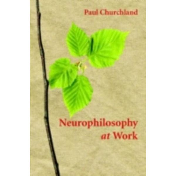 Neurophilosophy at Work, Paul Churchland