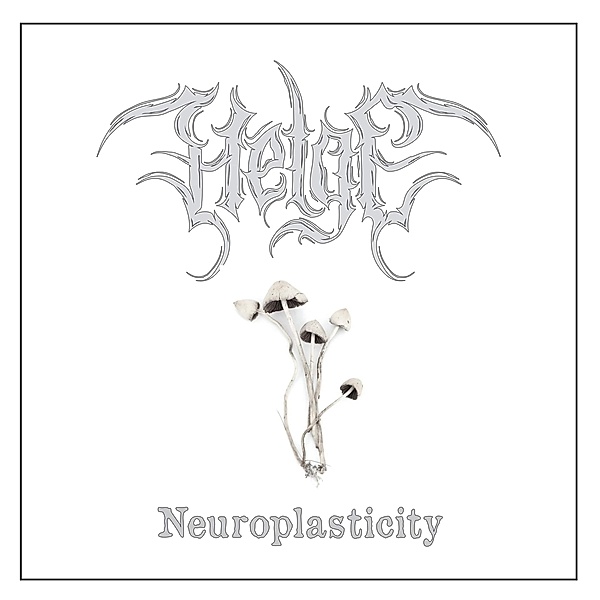 Neuroplasticity (Vinyl), Helge