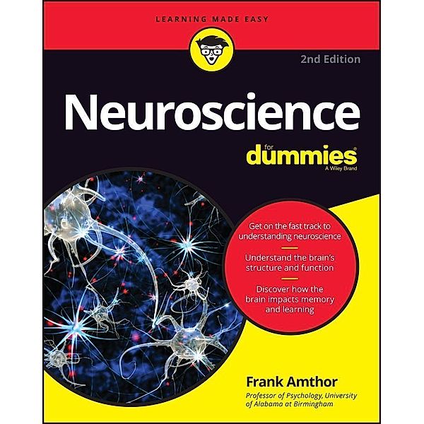 Neuroscience For Dummies, Frank Amthor
