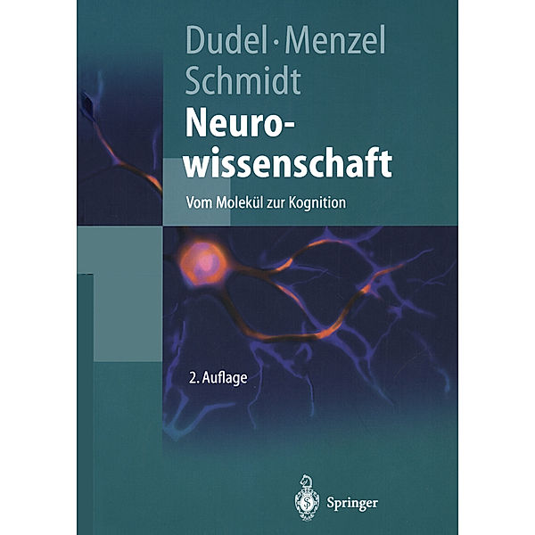 Neurowissenschaft