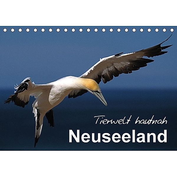 Neuseeland - Tierwelt hautnah (Tischkalender 2017 DIN A5 quer), Ferry BÖHME