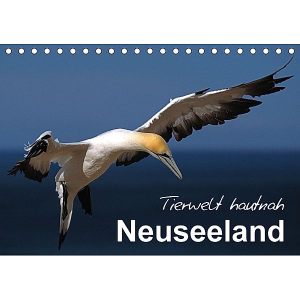 Neuseeland - Tierwelt hautnah (Tischkalender 2018 DIN A5 quer), Ferry BÖHME