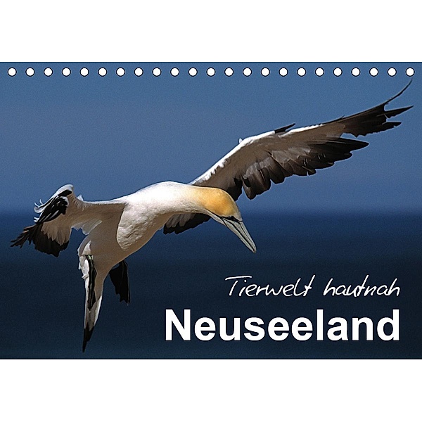 Neuseeland - Tierwelt hautnah (Tischkalender 2021 DIN A5 quer), Ferry BÖHME