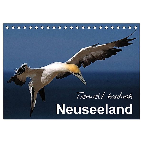 Neuseeland - Tierwelt hautnah (Tischkalender 2024 DIN A5 quer), CALVENDO Monatskalender, Ferry Böhme