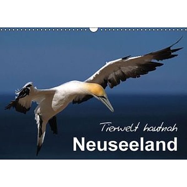 Neuseeland - Tierwelt hautnah (Wandkalender 2016 DIN A3 quer), Ferry Böhme