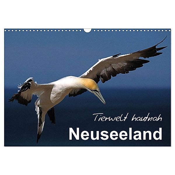 Neuseeland - Tierwelt hautnah (Wandkalender 2024 DIN A3 quer), CALVENDO Monatskalender, Ferry Böhme