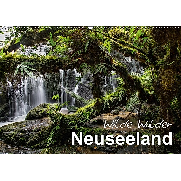 Neuseeland - Wilde Wälder (Wandkalender 2018 DIN A2 quer), Ferry Böhme