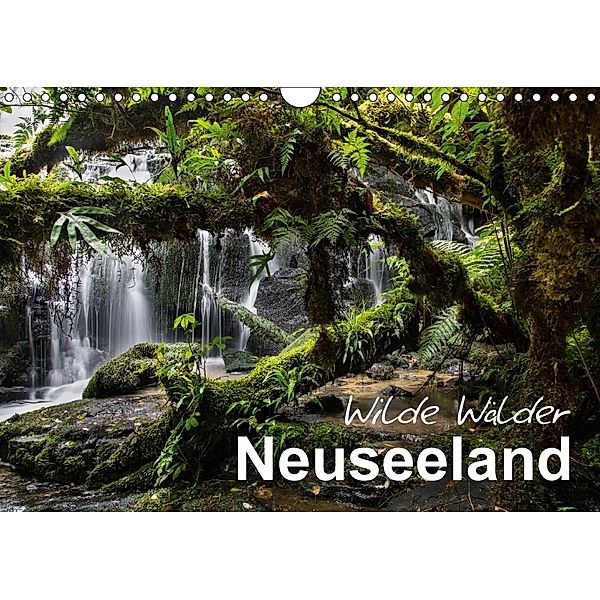 Neuseeland - Wilde Wälder (Wandkalender 2018 DIN A4 quer), Ferry BÖHME