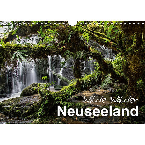 Neuseeland - Wilde Wälder (Wandkalender 2019 DIN A4 quer), Ferry BÖHME