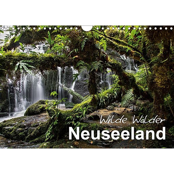 Neuseeland - Wilde Wälder (Wandkalender 2021 DIN A4 quer), Ferry BÖHME
