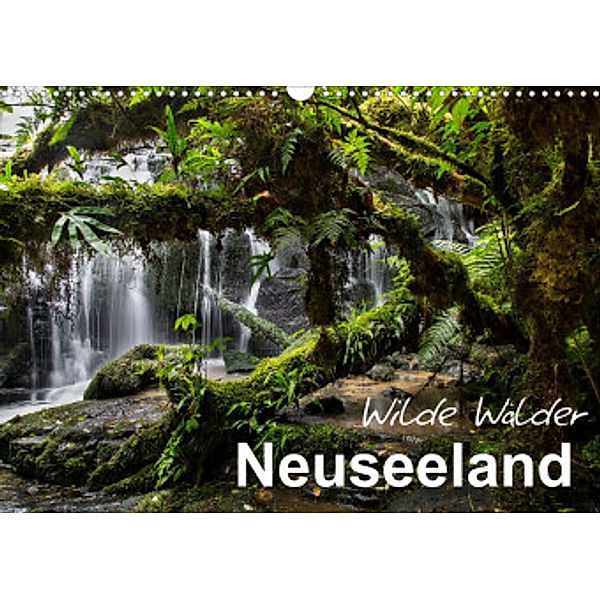 Neuseeland - Wilde Wälder (Wandkalender 2022 DIN A3 quer), Ferry Böhme