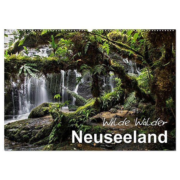 Neuseeland - Wilde Wälder (Wandkalender 2025 DIN A2 quer), CALVENDO Monatskalender, Calvendo, Ferry Böhme