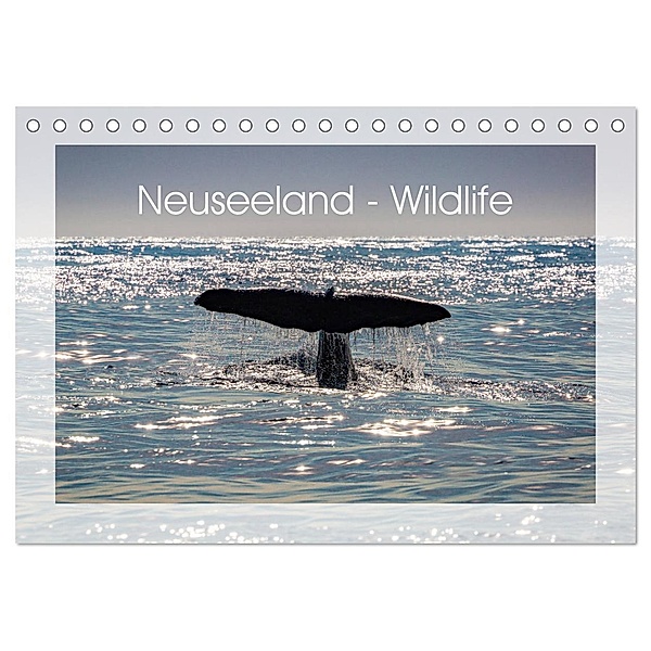 Neuseeland - Wildlife (Tischkalender 2024 DIN A5 quer), CALVENDO Monatskalender, Peter Schürholz