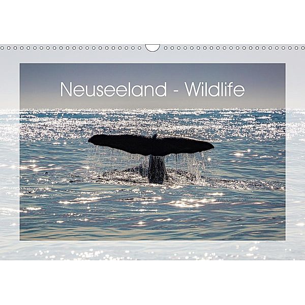 Neuseeland - Wildlife (Wandkalender 2021 DIN A3 quer), Peter Schürholz