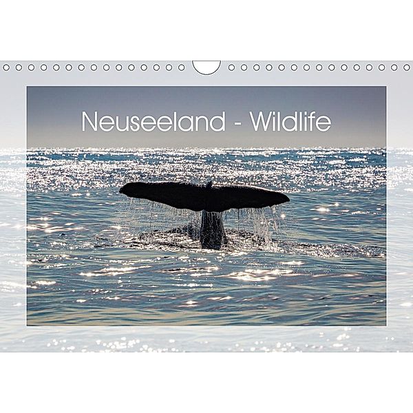 Neuseeland - Wildlife (Wandkalender 2021 DIN A4 quer), Peter Schürholz
