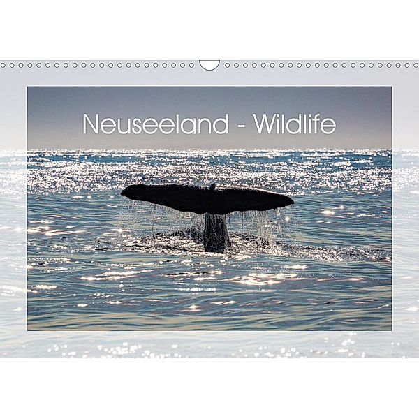 Neuseeland - Wildlife (Wandkalender 2023 DIN A3 quer), Peter Schürholz