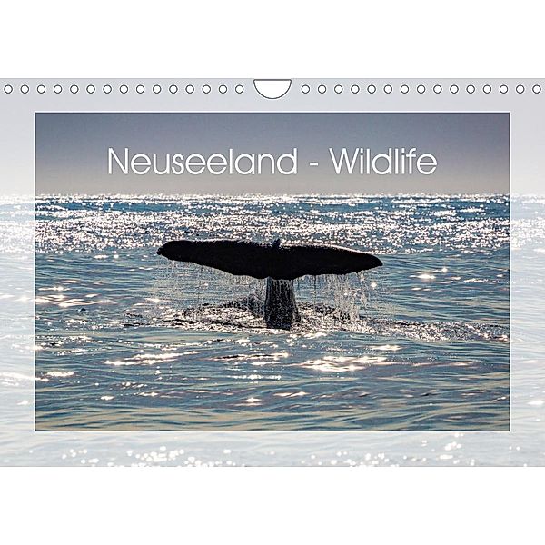 Neuseeland - Wildlife (Wandkalender 2023 DIN A4 quer), Peter Schürholz