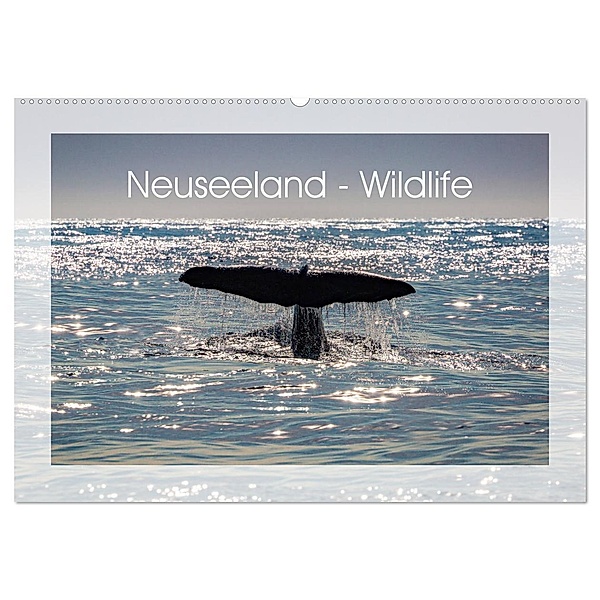 Neuseeland - Wildlife (Wandkalender 2025 DIN A2 quer), CALVENDO Monatskalender, Calvendo, Peter Schürholz