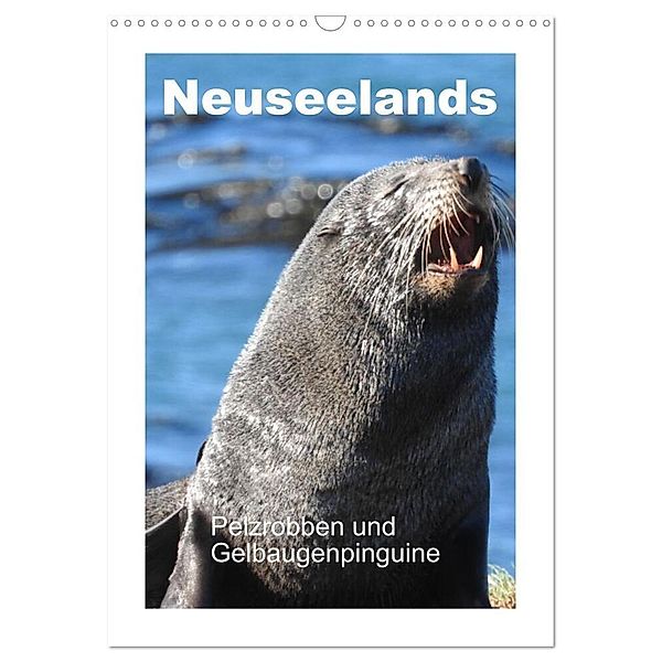 Neuseelands Pelzrobben und Gelbaugenpinguine (Wandkalender 2024 DIN A3 hoch), CALVENDO Monatskalender, Gabriele Voigt-Papke