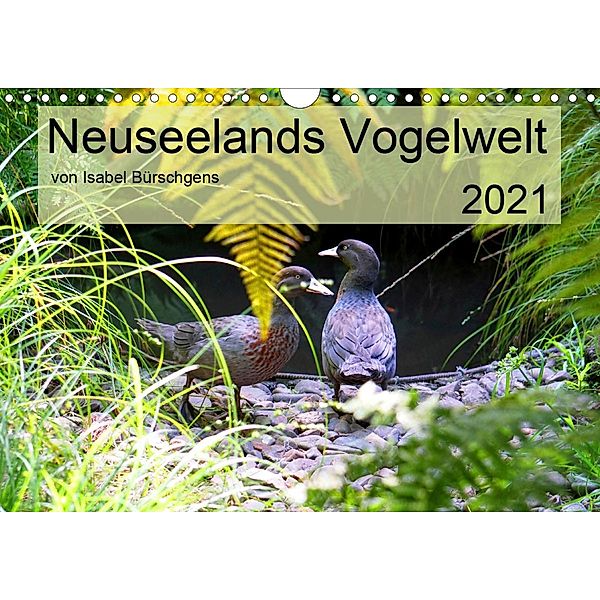 Neuseelands Vogelwelt (Wandkalender 2021 DIN A4 quer), Isabel Bürschgens