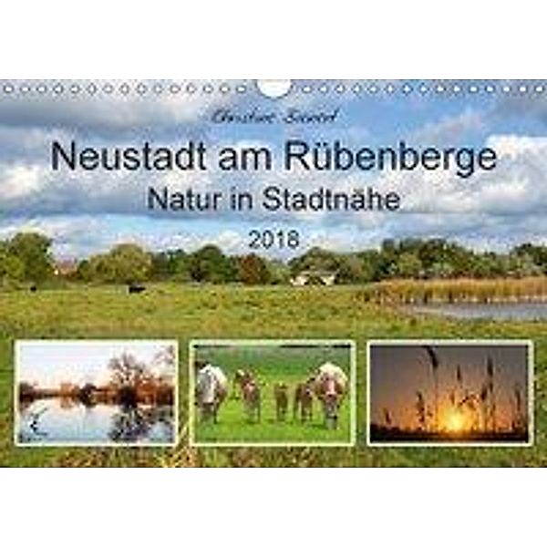 Neustadt am Rübenberge Natur in Stadtnähe (Wandkalender 2018 DIN A4 quer), Christine Bienert