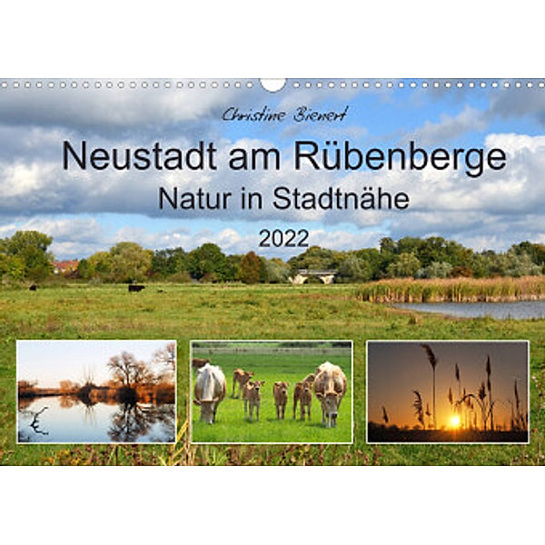 Neustadt am Rübenberge Natur in Stadtnähe (Wandkalender 2022 DIN A3 quer), Christine Bienert