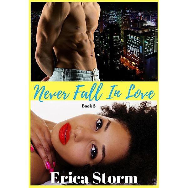 Never Fall In Love Book 3 / Never Fall In Love, Erica Storm
