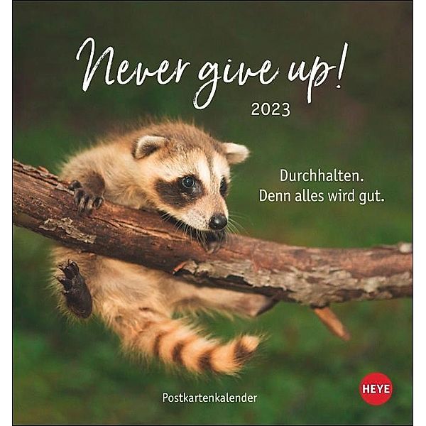 Never give up! Postkartenkalender 2023. Süsse Tiere in einem Postkarten-Fotokalender mit motivierenden Botschaften. Klein